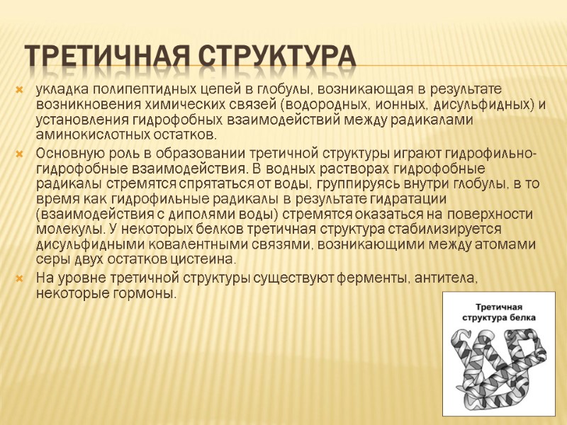 Третичная структура  укладка полипептидных цепей в глобулы, возникающая в результате возникновения химических связей